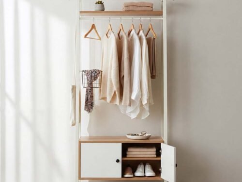 Cloth Hanger - 058