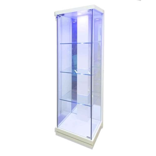 Display 100