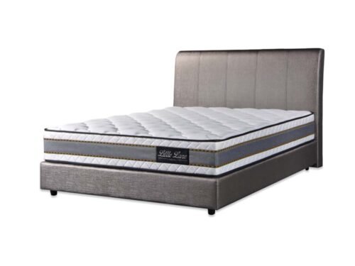 EC101 Bedframe (Single/ Super Single/ Queen/ King)