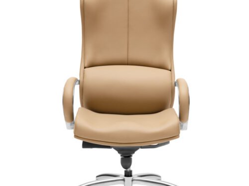 Director Chair,executive chair ,ceo series - ceo 3111