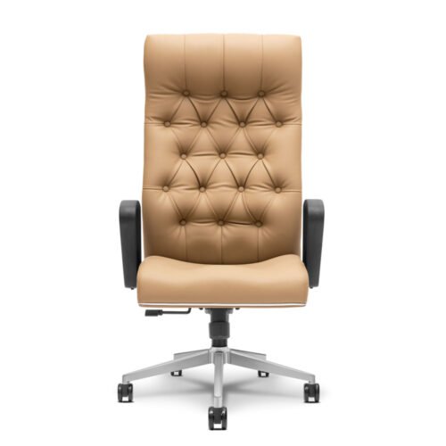 Director Chair,executive chair ,ceo series - executive 2531