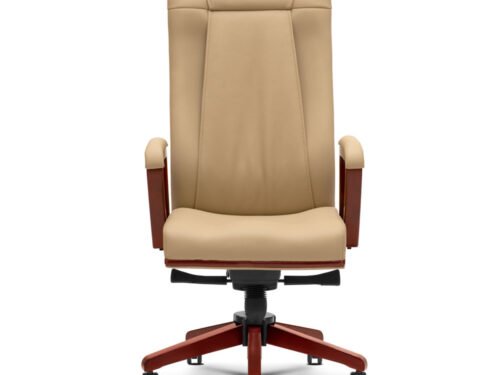 Director Chair,executive chair ,ceo series - executive 2291