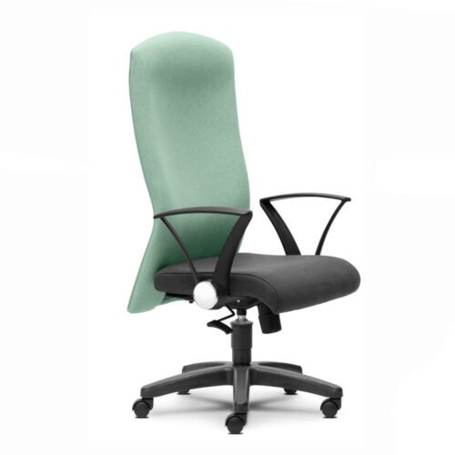 Director Chair,executive chair ,ceo series - executive 2591