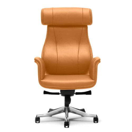 Director Chair,executive chair ,ceo series - ceo 3065